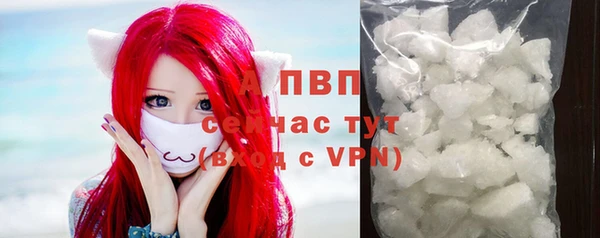 ПСИЛОЦИБИНОВЫЕ ГРИБЫ Вязники