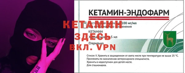 ПСИЛОЦИБИНОВЫЕ ГРИБЫ Вязники