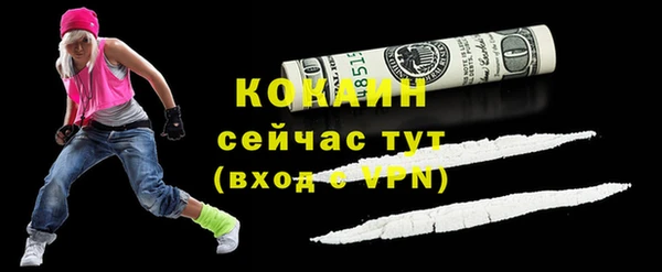 ПСИЛОЦИБИНОВЫЕ ГРИБЫ Вязники
