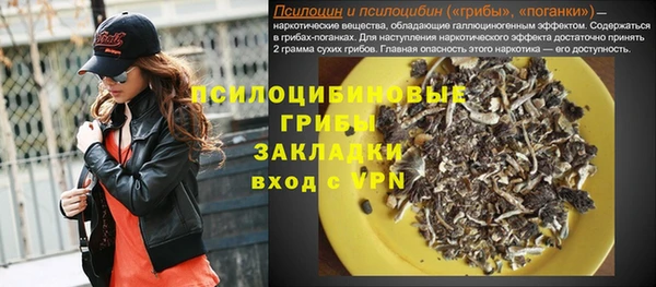 ешки Вяземский