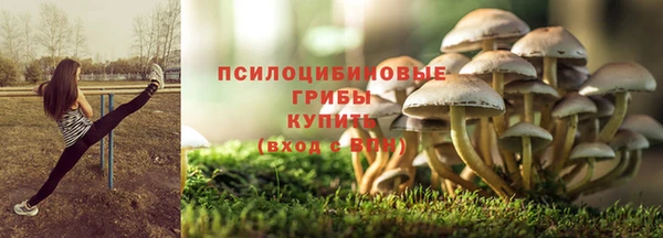 mdpv Вязьма