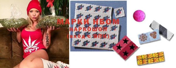 ПСИЛОЦИБИНОВЫЕ ГРИБЫ Вязники