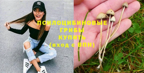 ПСИЛОЦИБИНОВЫЕ ГРИБЫ Вязники